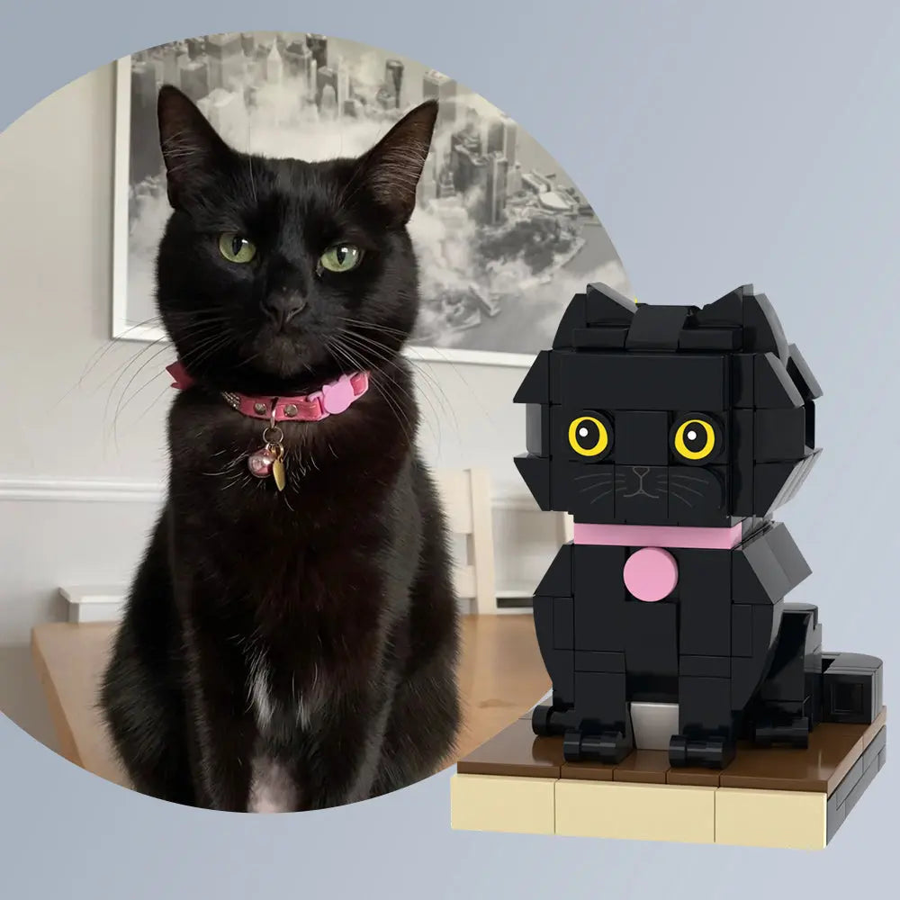 Custom Full-Body Brick Figure – 1 Cat