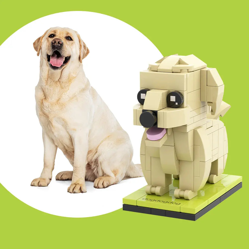 Figura de ladrillo personalizada de cuerpo entero: Labrador Retriever