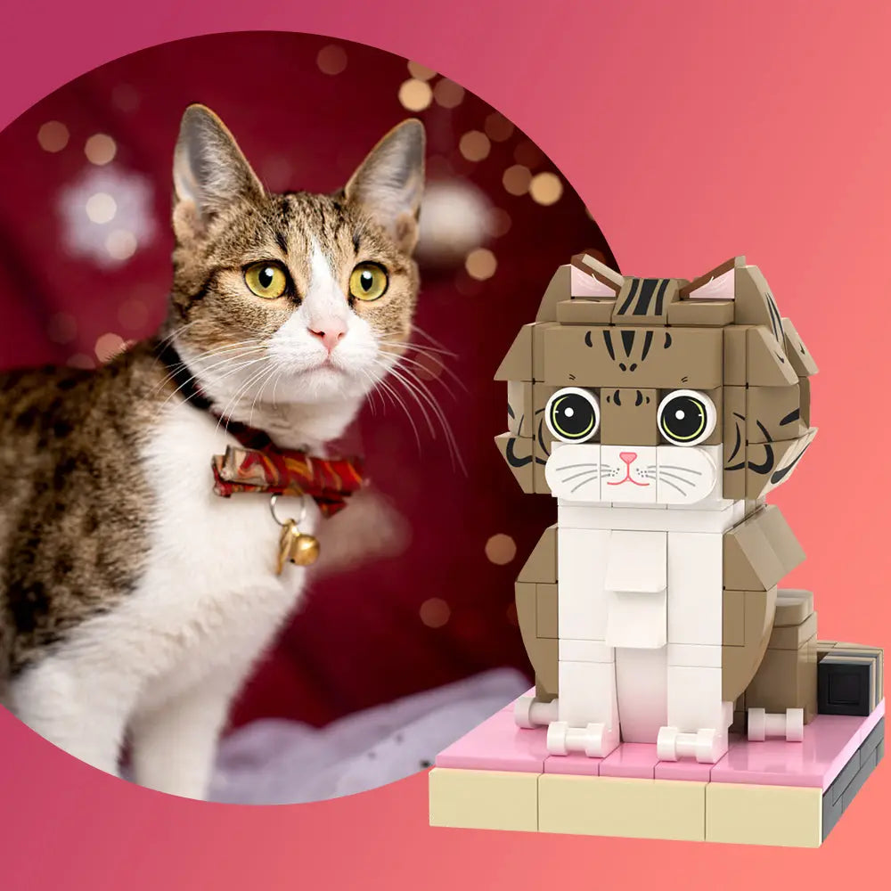 Custom Full-Body Brick Figure – 1 Cat